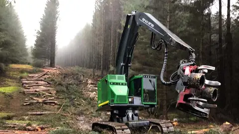 procesadora-forestal-cadeas procesadora-forestal-cadeas