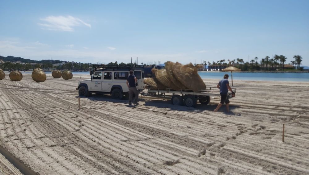 Trabajadores municipales instalando las sombrillas en las playas de Alcudia, para poder reabrirlas a partir del 18 de junio. 