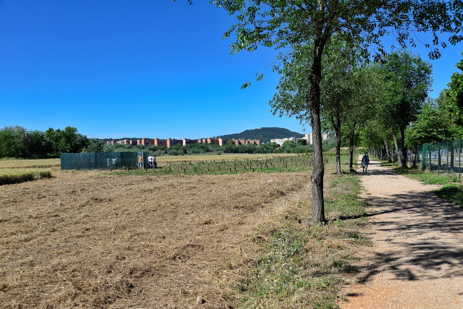 Más de uno Alcalá 21/05/2020 Más de uno Alcalá 21/05/2020