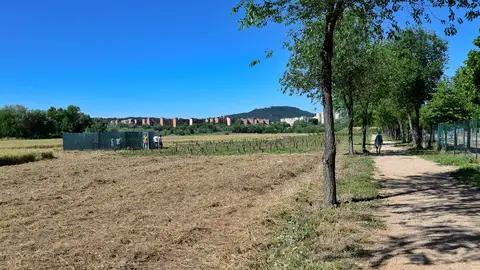 Colmenas para la isla del Colegio Polinización y biodiversidad
