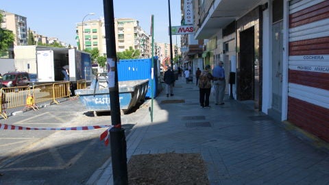 Piden al Ayuntamiento que salve los 300 &aacute;rboles que pueden verse afectados por las obras del Eje 