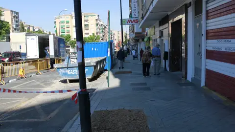 Piden al Ayuntamiento que salve los 300 árboles que pueden verse afectados por las obras del Eje Piden al Ayuntamiento que salve los 300 árboles que pueden verse afectados por las obras del Eje