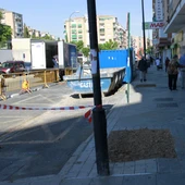 Piden al Ayuntamiento que salve los 300 árboles que pueden verse afectados por las obras del Eje Piden al Ayuntamiento que salve los 300 árboles que pueden verse afectados por las obras del Eje