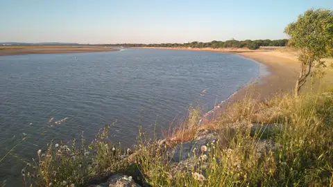 Una de las playas de Puerto Real Una de las playas de Puerto Real