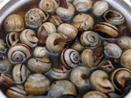 Bornos busca a la persona capaz de comer diez caracoles en diez segundos Bornos busca a la persona capaz de comer diez caracoles en diez segundos
