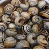 La Ruta del Caracol y la Cabrilla se desarrollará entre abril y junio La Ruta del Caracol y la Cabrilla se desarrollará entre abril y junio