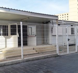 Instalaciones actuales del CEIP Santo Ángel de la Guarda Instalaciones actuales del CEIP Santo Ángel de la Guarda