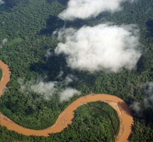 Amazonas Amazonas
