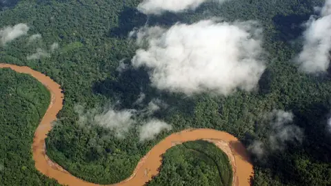 Amazonas Amazonas