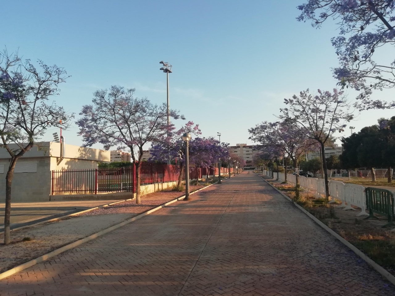 Las temperaturas mínimas descienden la próxima noche en Elche, Santa Pola y Crevillent Las temperaturas mínimas descienden la próxima noche en Elche, Santa Pola y Crevillent