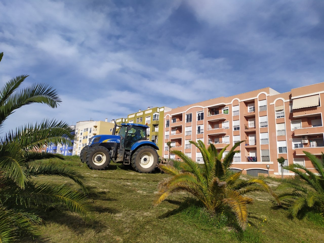 El Ayuntamiento de Aspe abre 126 expedientes de advertencia por falta de mantenimiento en solares privados El Ayuntamiento de Aspe abre 126 expedientes de advertencia por falta de mantenimiento en solares privados