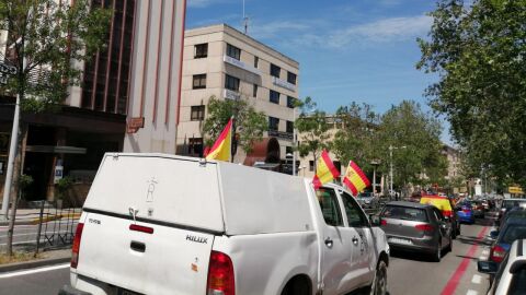 manifestaci&oacute;n