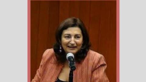 Mar&iacute;a Jos&eacute; Guerra Palmero