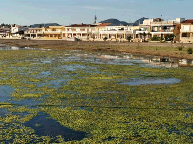 López Miras responsabiliza al Ministerio de Transición Ecológica de la "mala cara" del Mar Menor López Miras responsabiliza al Ministerio de Transición Ecológica de la "mala cara" del Mar Menor
