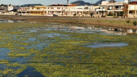 Mar Menor