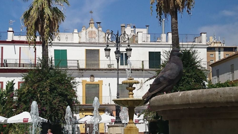 Plaza del Cabildo en Sanlúcar Plaza del Cabildo en Sanlúcar