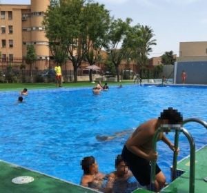 Piscina municipal en Elche. Piscina municipal en Elche.