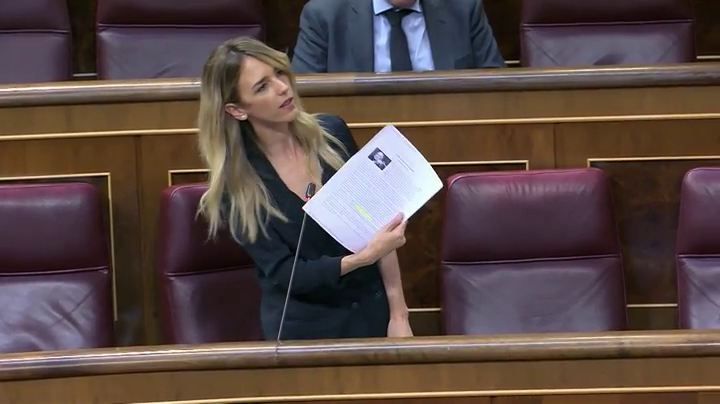 Álvarez de Toledo llama "hijo de terrorista" a Iglesias y Batet lo borra del diario de sesiones Álvarez de Toledo llama "hijo de terrorista" a Iglesias y Batet lo borra del diario de sesiones