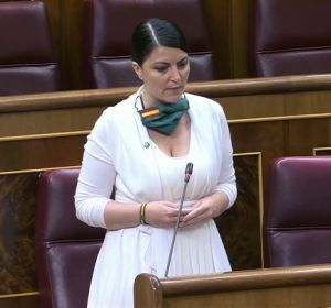 Macarena Olona anuncia una querella por las llamadas de presión que recibió Pérez de los Cobos Macarena Olona anuncia una querella por las llamadas de presión que recibió Pérez de los Cobos