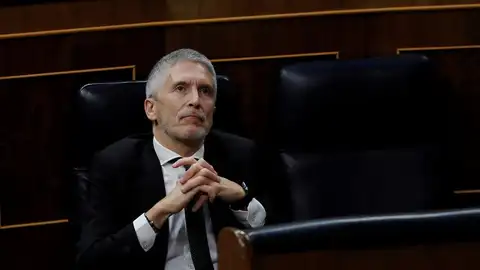 El ministro del interior, Fernando Grande Marlaska, durante la sesión de control al Ejecutivo El ministro del interior, Fernando Grande Marlaska, durante la sesión de control al Ejecutivo
