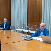 Aurelio Gómez Villar y Manuel Baltar, en la reunión telemática del Comité asesor de Cultura