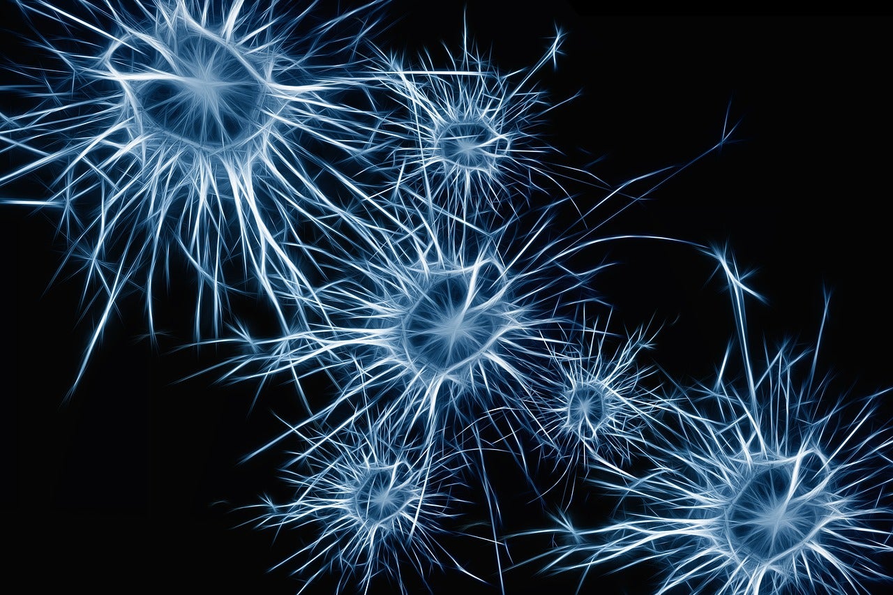 Eureka: Las neuronas de la desconexión Eureka: Las neuronas de la desconexión