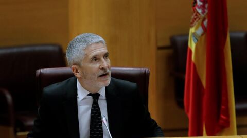 Fernando Grande-Marlaska, ante la Comisi&oacute;n de Interior en el Senado