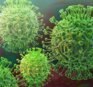 coronavirus coronavirus