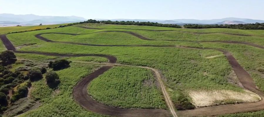 Trazado del circuito realizado y que investiga Bornos Trazado del circuito realizado y que investiga Bornos