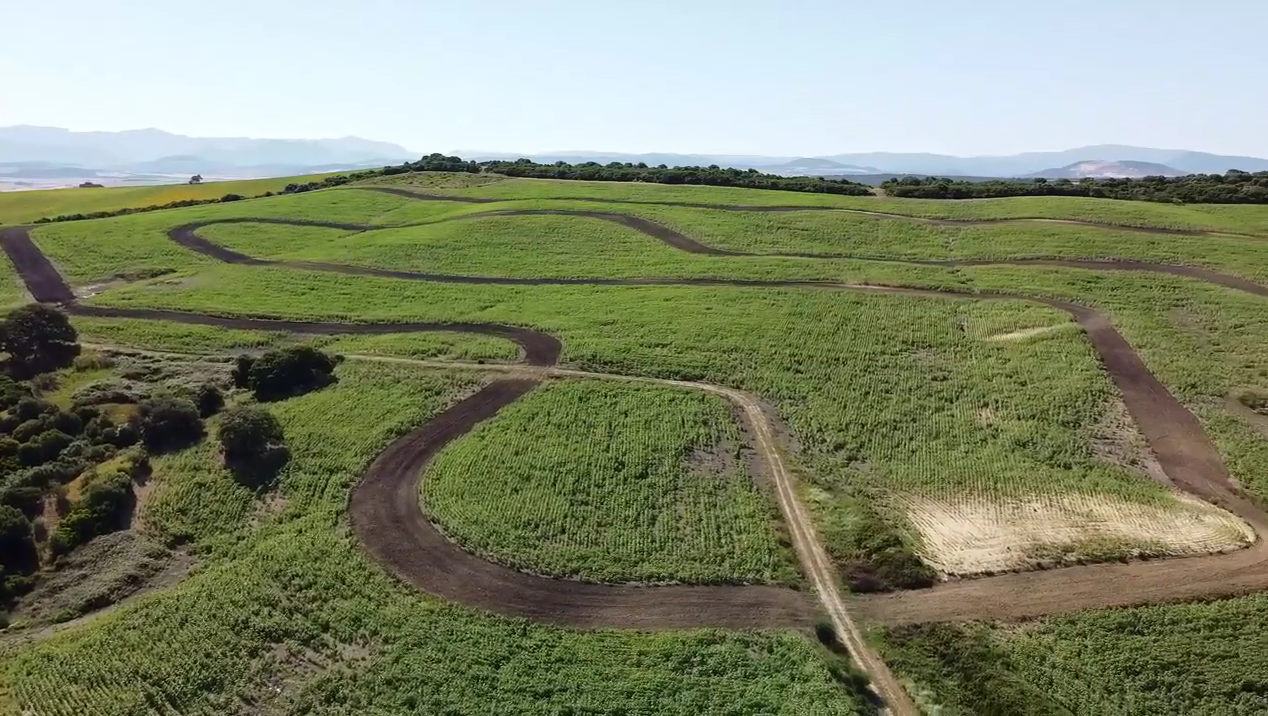 Bornos solicita a Arcos y al Seprona saber si se ha cometido una presunta infracción urbanística en el futuro circuito de Las Hoces Bornos solicita a Arcos y al Seprona saber si se ha cometido una presunta infracción urbanística en el futuro circuito de Las Hoces