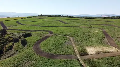 Trazado del circuito realizado y que investiga Bornos Trazado del circuito realizado y que investiga Bornos