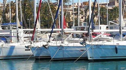 Embarcaciones dedicadas al ch&aacute;rter n&aacute;utico en la Bah&iacute;a de Palma