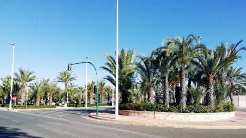 Elche.