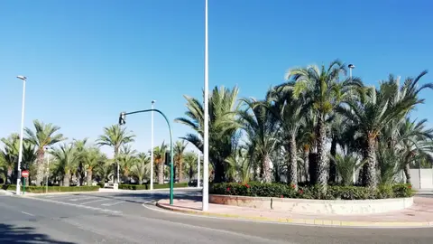 Elche. Elche.