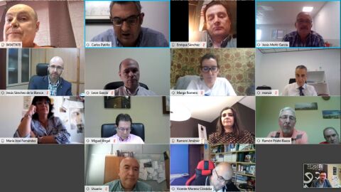 Reuni&oacute;n telem&aacute;tica entre FECIR y asociaciones comerciales de la provincia