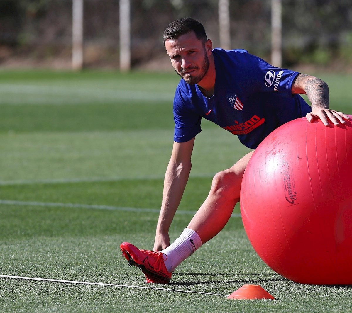 Alineación del Athletic de Bilbao y el Atlético de Madrid hoy en LaLiga Alineación del Athletic de Bilbao y el Atlético de Madrid hoy en LaLiga