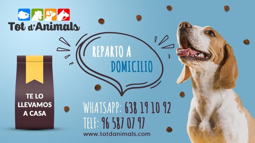 TOT D´ANIMALS TOT D´ANIMALS