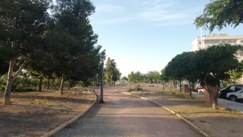 Elche.