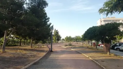 Elche. Elche.