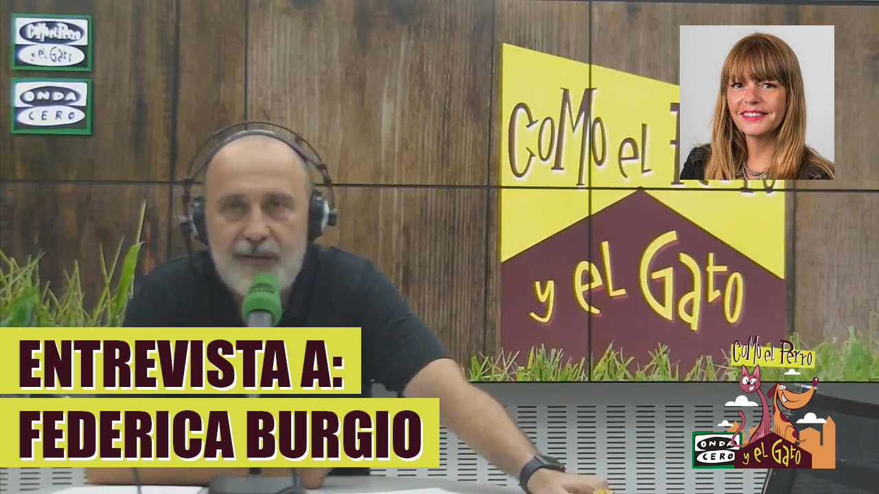 ¿Existe cura para la leishmaniosis canina? ¿Existe cura para la leishmaniosis canina?