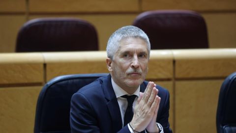 Fernando Grande-Marlaska, en el Senado