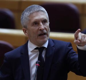 El ministro del Interior, Fernando Grande-Marlaska, durante la sesión del control al Gobierno El ministro del Interior, Fernando Grande-Marlaska, durante la sesión del control al Gobierno