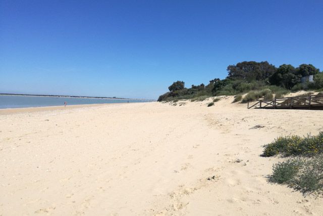 La Policía de Sanlúcar prepara un servicio de control para evitar reuniones en la playa por el día de la Patrona La Policía de Sanlúcar prepara un servicio de control para evitar reuniones en la playa por el día de la Patrona