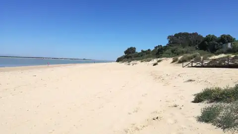 Playa de La Jara, en Sanlúcar Playa de La Jara, en Sanlúcar