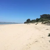 Playa de La Jara, en Sanlúcar Playa de La Jara, en Sanlúcar