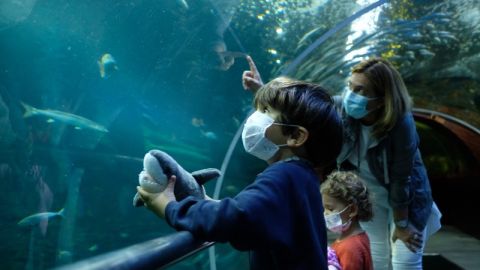 Malen y Jon, primeros visitantes al Aquarium tras el confinamiento