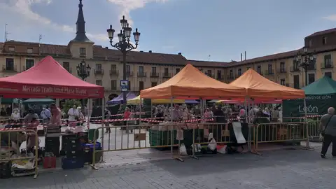 Primer día de mercado postconfinamiento en la Plaza Mayor Primer día de mercado postconfinamiento en la Plaza Mayor