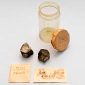 Redescubiertos dos fragmentos del meteorito que cayo en Barcelona en 1704