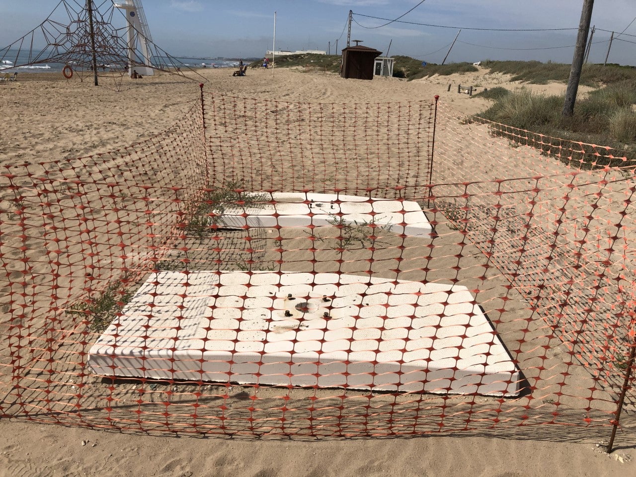 Cs Elche denuncia que las playas de La Marina se han reabierto sin cumplir “las condiciones básicas de seguridad y accesibilidad” Cs Elche denuncia que las playas de La Marina se han reabierto sin cumplir “las condiciones básicas de seguridad y accesibilidad”