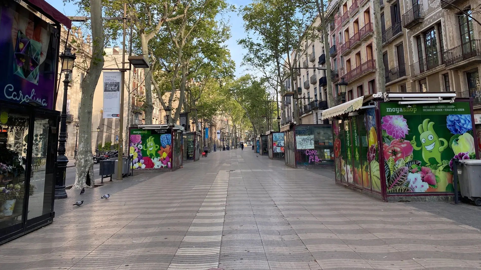 La Rambla de Barcelona, vacía